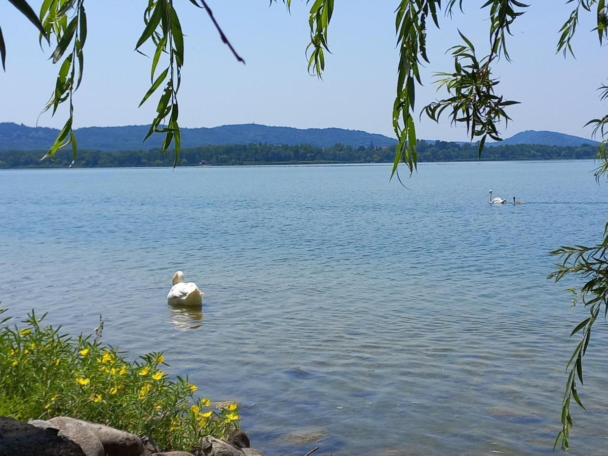Appartamento Miralago Con Giardino Sul Lago กาวิราเต ภายนอก รูปภาพ