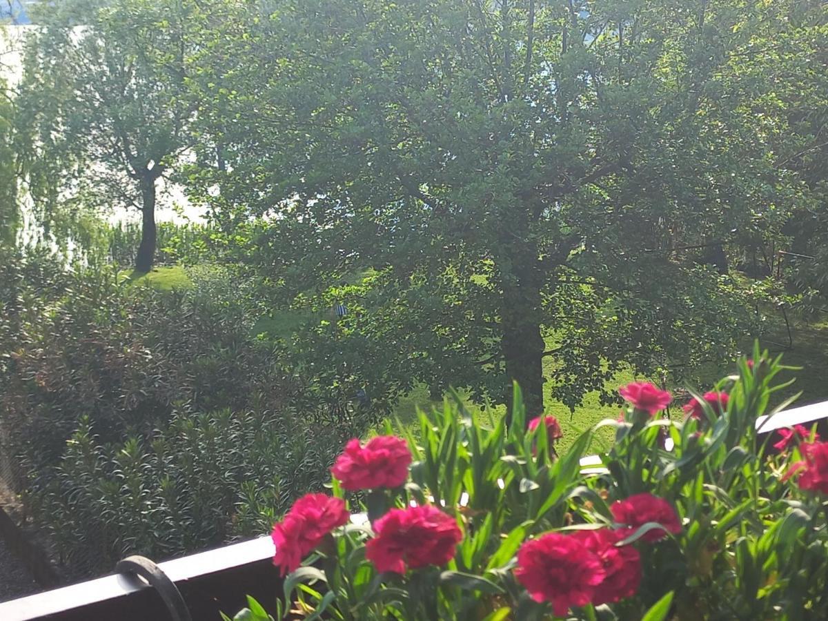 Appartamento Miralago Con Giardino Sul Lago กาวิราเต ภายนอก รูปภาพ