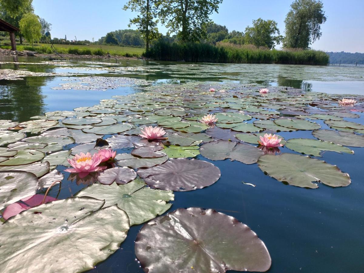 Appartamento Miralago Con Giardino Sul Lago กาวิราเต ภายนอก รูปภาพ
