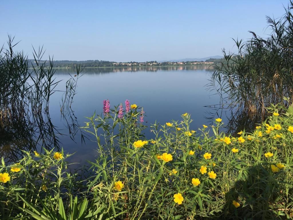 Appartamento Miralago Con Giardino Sul Lago กาวิราเต ภายนอก รูปภาพ