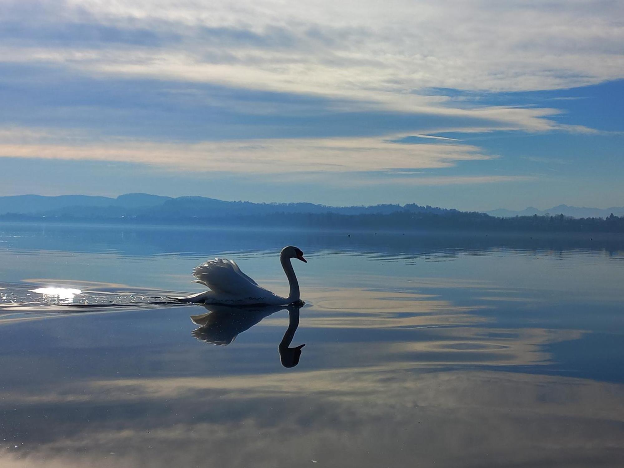 Appartamento Miralago Con Giardino Sul Lago กาวิราเต ภายนอก รูปภาพ