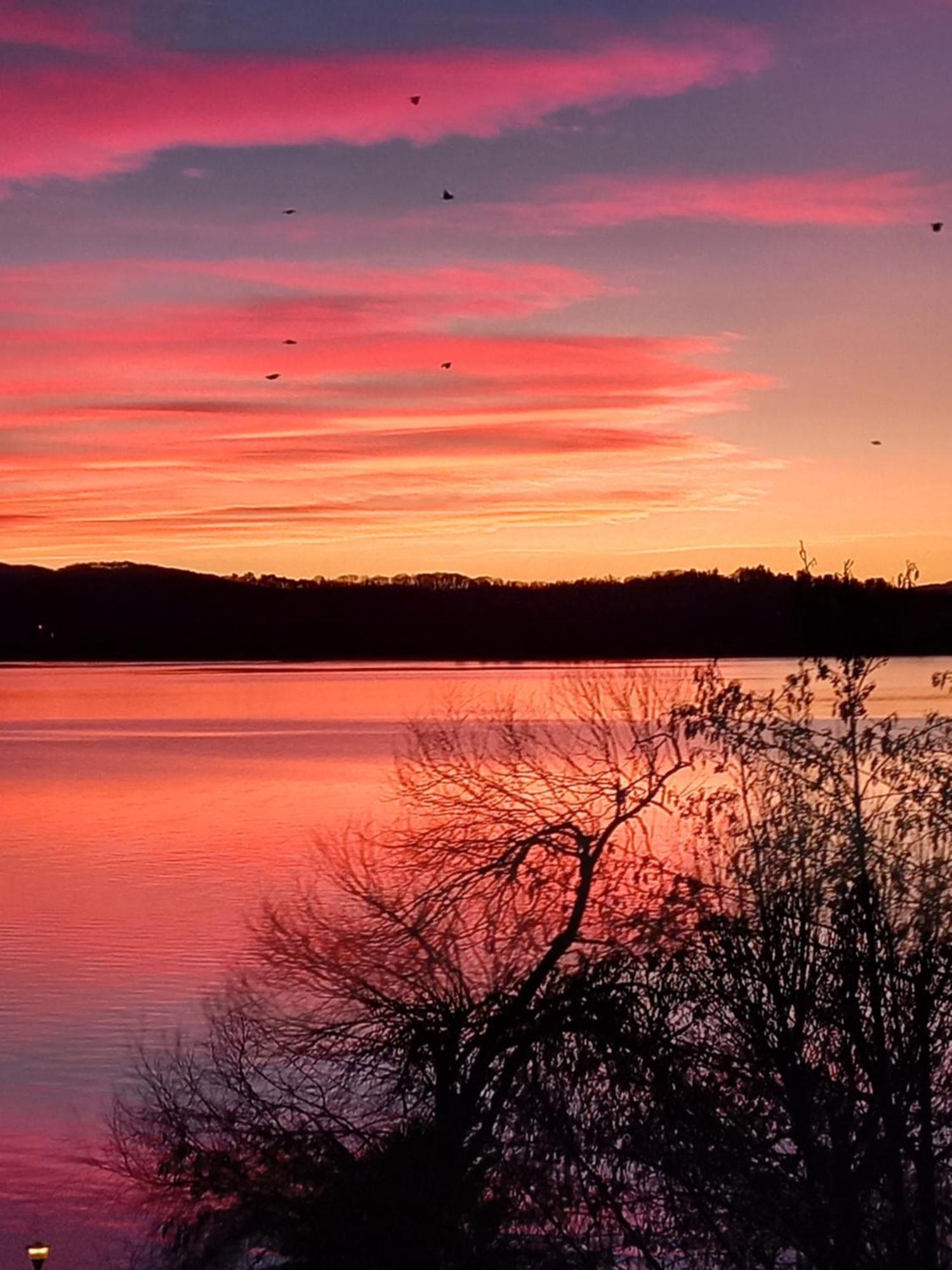 Appartamento Miralago Con Giardino Sul Lago กาวิราเต ภายนอก รูปภาพ