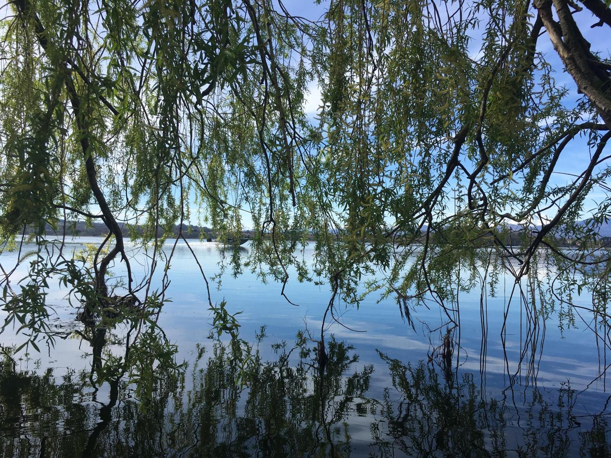 Appartamento Miralago Con Giardino Sul Lago กาวิราเต ภายนอก รูปภาพ